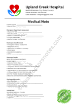 Emergency Room Real Medical Note