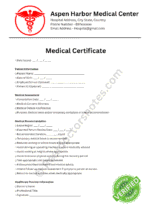Medical Certificate for Dizziness