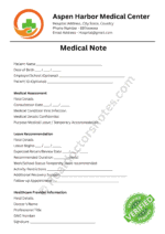 Medical Note for Dizziness
